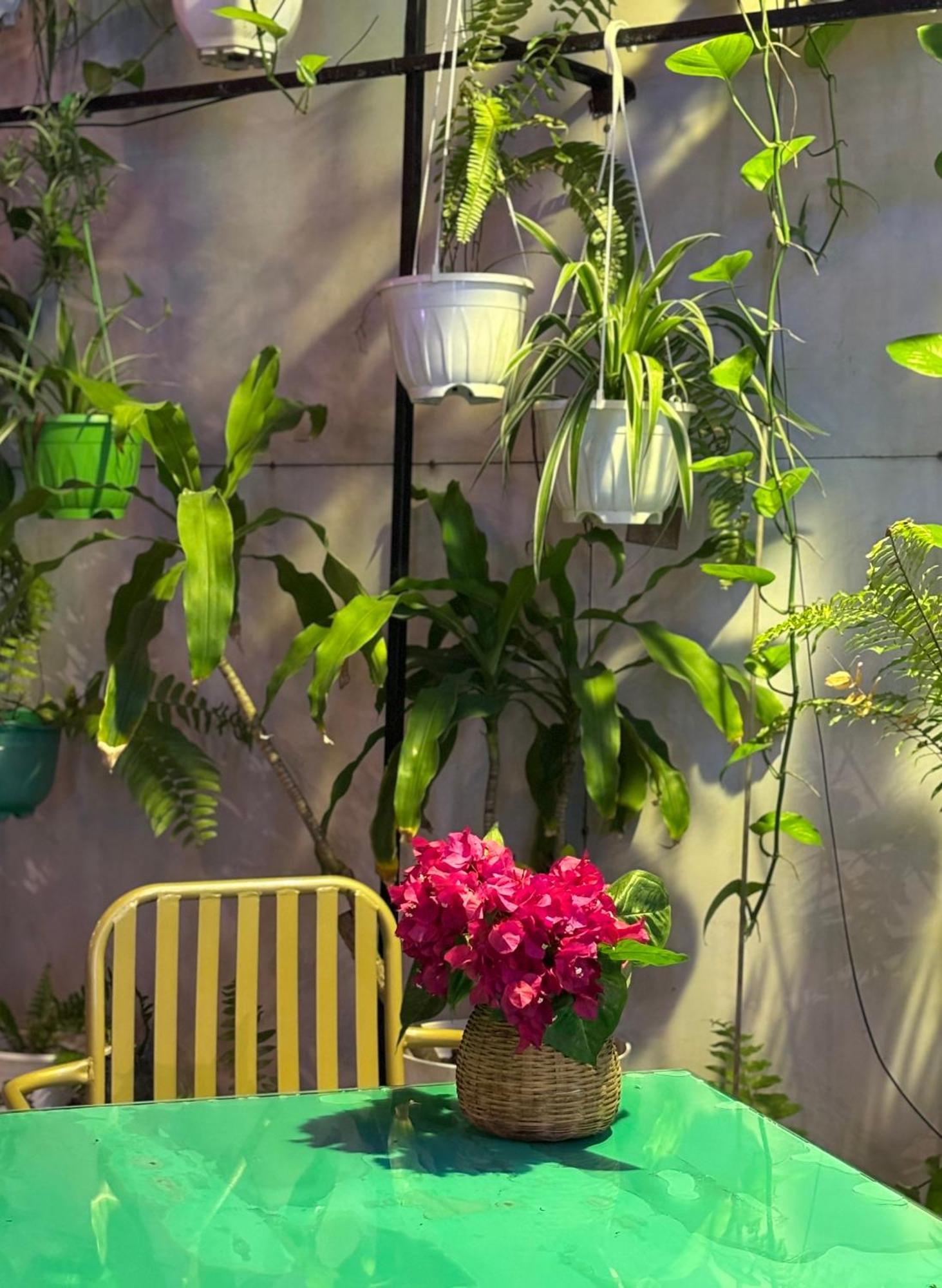 Pearl Beach Homestay Хой Ан Екстериор снимка